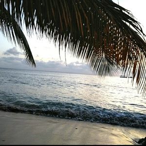 Meet your Posher, Renee